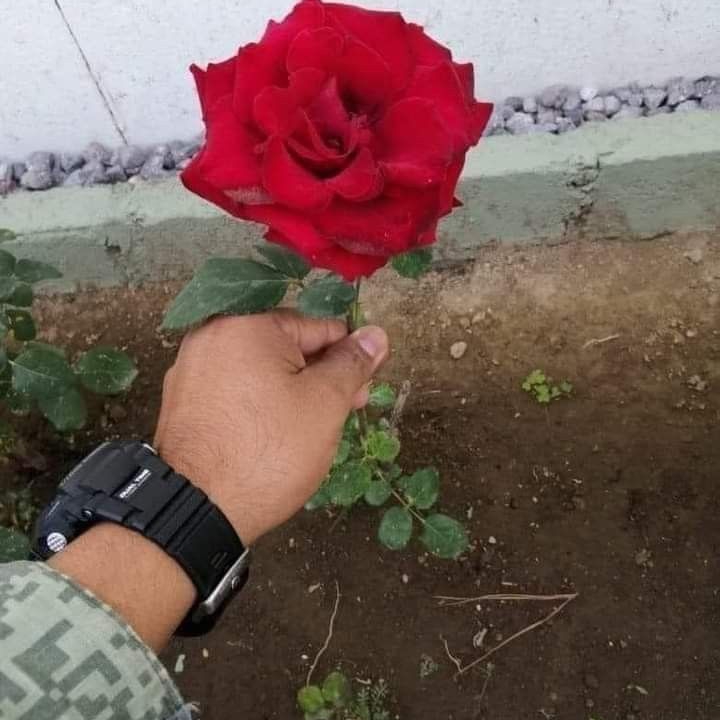 e.g, maria Authentic Tacos 