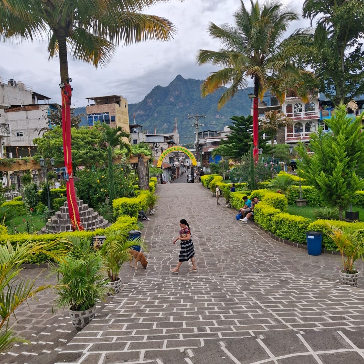 Mexican Spanish Teacher