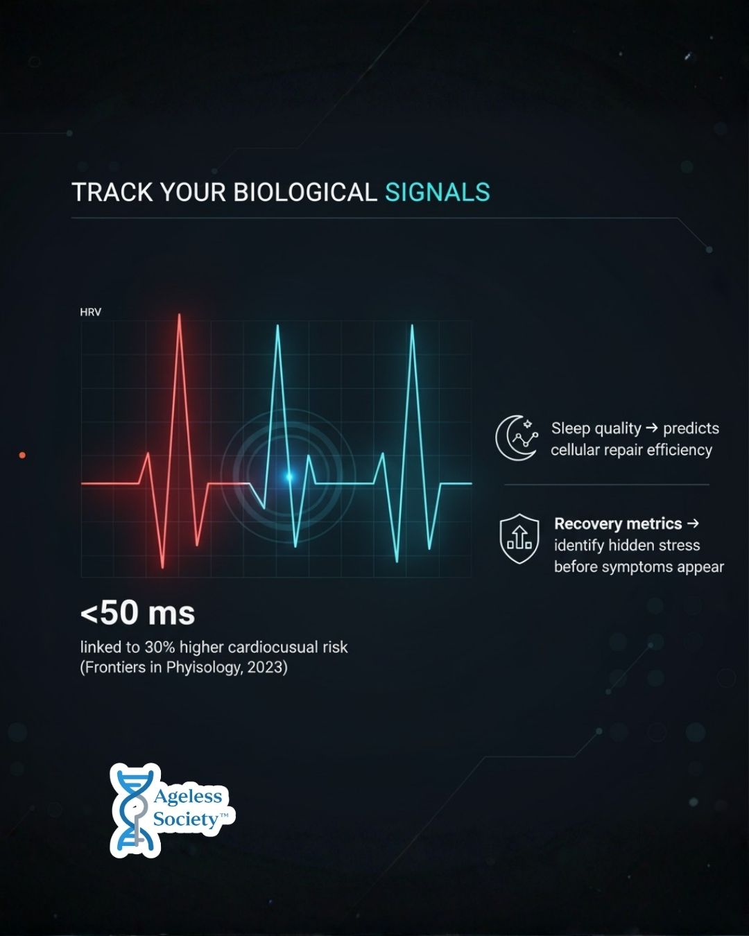 My image 3 description