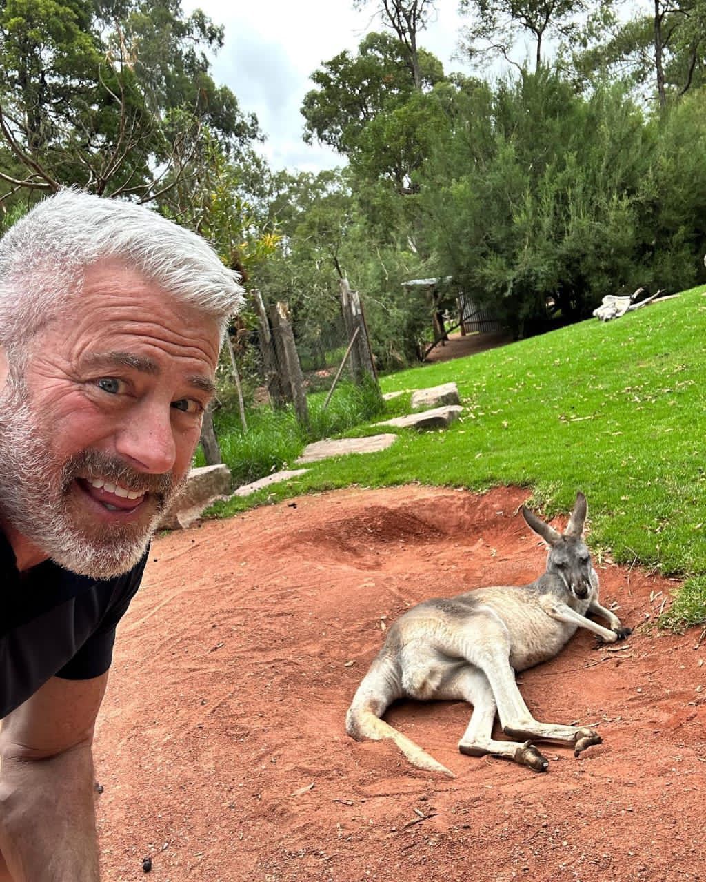 My image 1 description