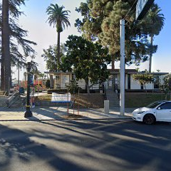 Persian Music Concert in the Park