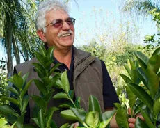 Paradise Nursery | Construction of a garden