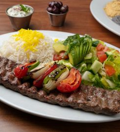 Panini Kabob Grill