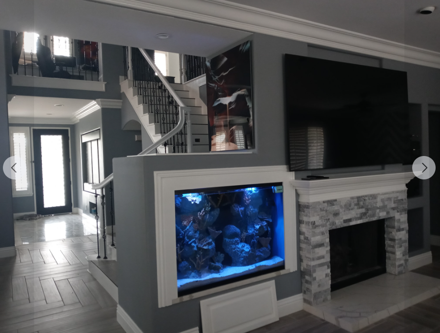 Beautiful Scales Aquarium