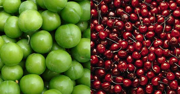 Santa Monica Glatt Market