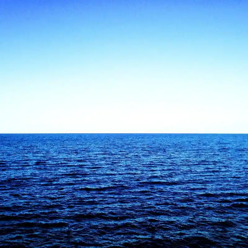 Payam Ghassemlou MFT, Ph.D.