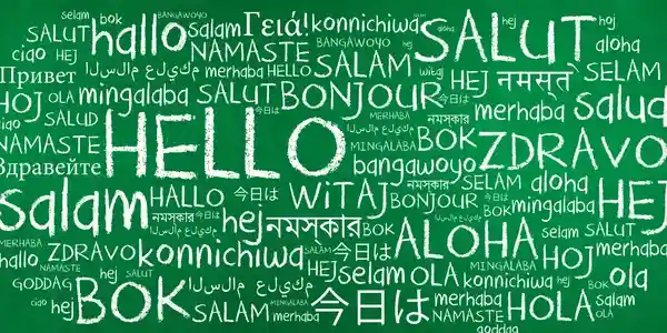 Clear Language Services