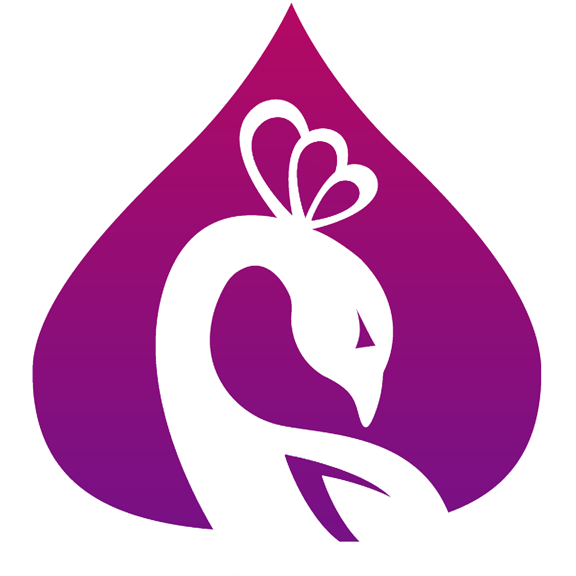 LA Bellydance Academy