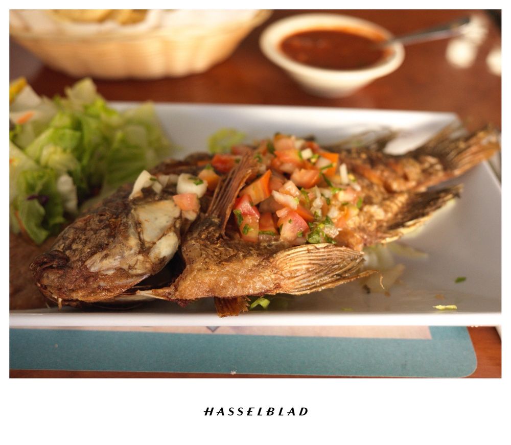 Colima Mexican & Seafood &nbsp;Restaurant