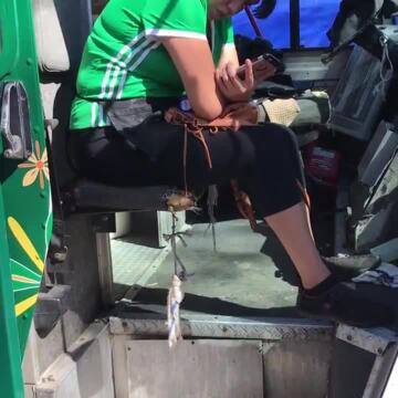 Hot Stuff Pizza & Eddie Peppers Mexican Food