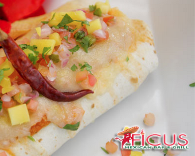 Ficus Mexican Bar & Grill