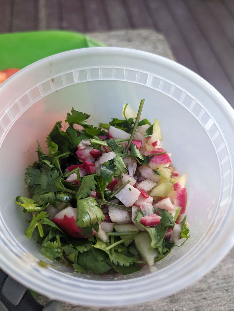 Rinconcito Salvadoreno