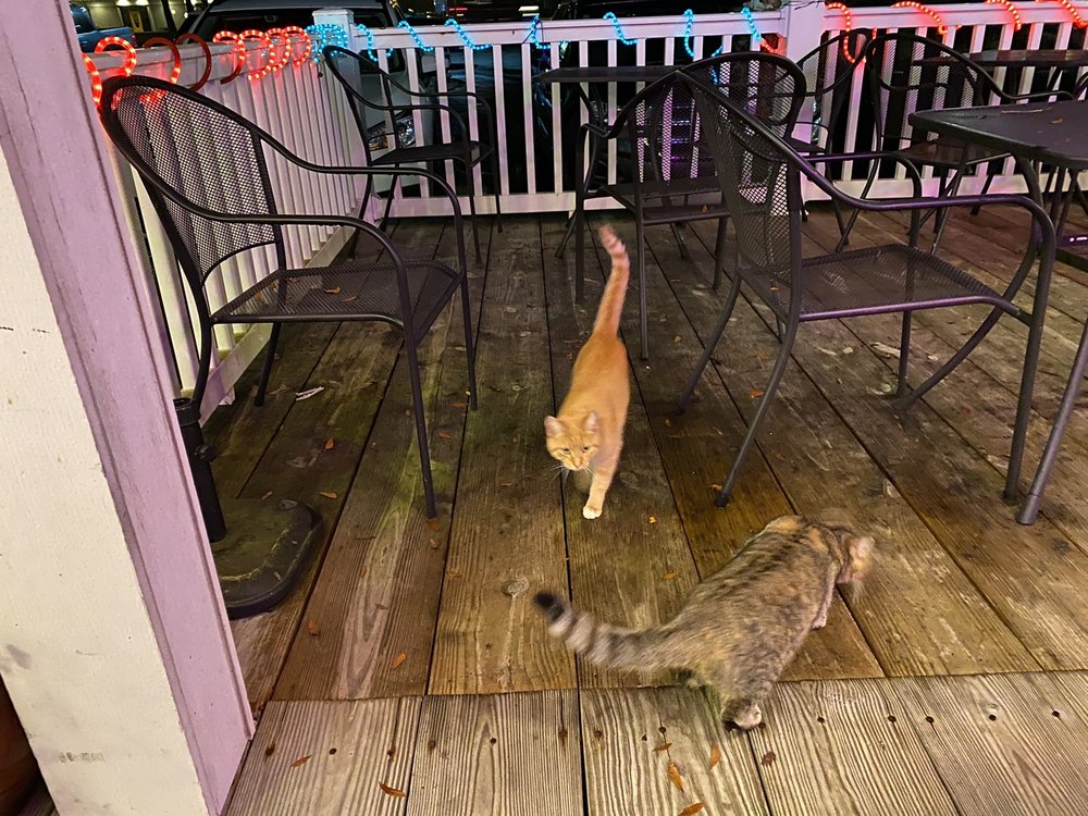 Acapulco mexican restaurant