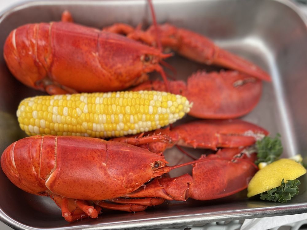 Taste of Maine