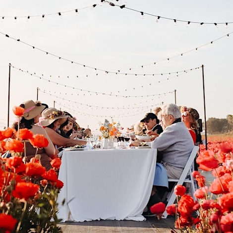 2024 American Grown Field to Vase Dinner @ The Flower Fields, Carlsbad, CA