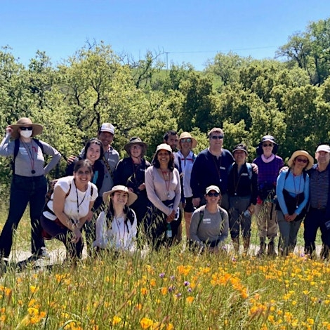 Wild about Wildflowers - Naturalist Walk at Pearson-Arastradero Preserve