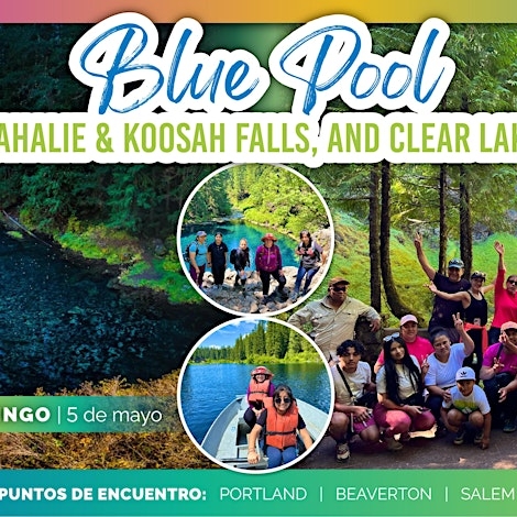 ¡Vive tres aventuras en un día: Blue Pool, cascadas y Clear Lake!