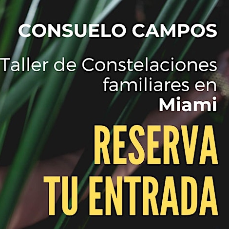 Constelaciones Familiares Grupal - Miami 11 Mayo 2024