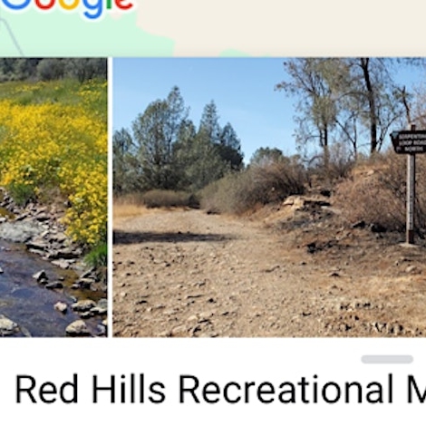 Walk in Red Hills, with Dr. Ardron, BZP Tuolumne