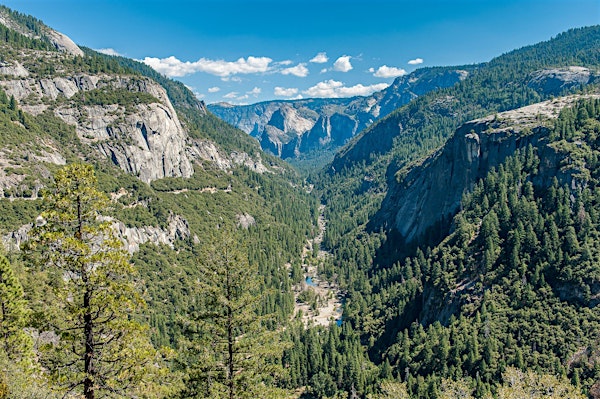 A Thrilling Scavenger Hunt! - Mountainous Fun in Yosemite‘s Valley