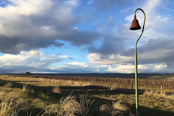 San Luis Obispo: A Self-Guided Walking Tour of History & Charm