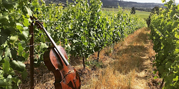 Concert 3: Schubert, Tucker, and Ravaei
