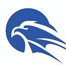 American eagle immigration law firm