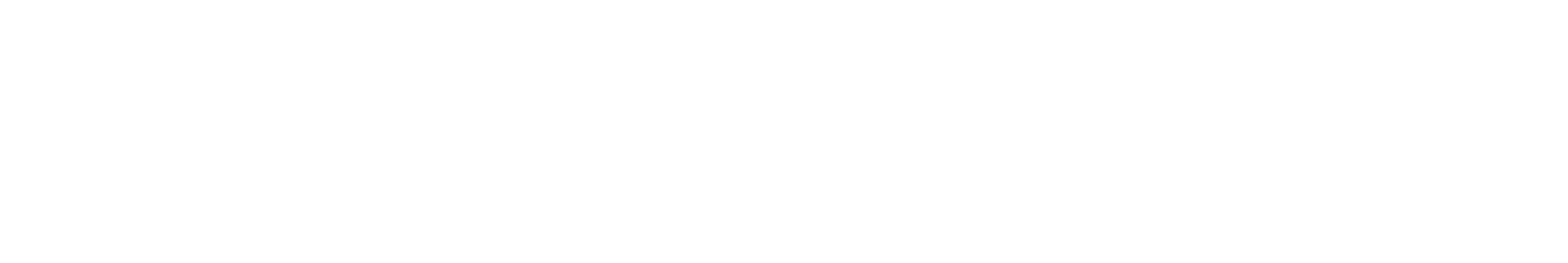 American Health Care Capital