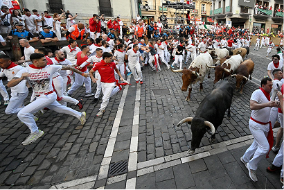 Celebrations & Traditions